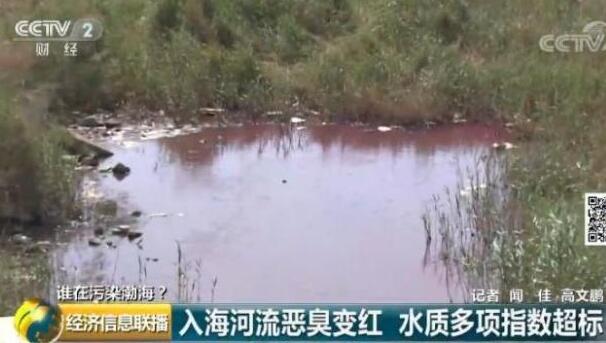 渤海入海河流黑臭变红 水质严重超标！究竟